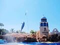 海洋世界 - Sea World photo 1