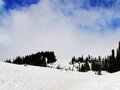 雷尼尔山国家公园 - Mount Rainier National Park 图片 1