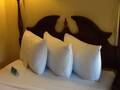 Milner Hotel Boston Common 图片 10