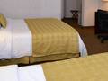 Ramada Inn Boston photo 13