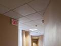Boston Hotel Buckminster photo 6