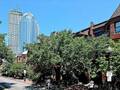 The Copley House photo 10
