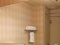 Doubletree Hotel Boston - Downtown 图片 7