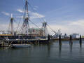 Marriott Long Wharf photo 14