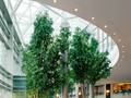 Hilton Boston Logan Airport photo 2