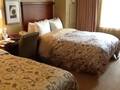 Loews Boston Hotel photo 15