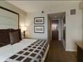 Hyatt Boston Harbor 图片 9