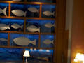 Renaissance Boston Waterfront Hotel photo 18