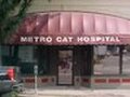 VCA Metro Cat Hospital photo 1