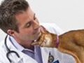 Banfield Pet Hospital photo 1