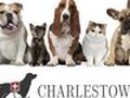 Charlestown Veterinary Hospital photo 1