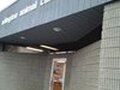 Arlington Animal Clinic photo 1