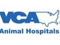 VCA Brookline Animal Hospital photo 1