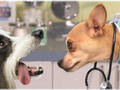 Johnson Veterinary Hospital photo 1