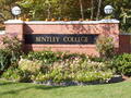 本特利学院 - Bentley College photo 1