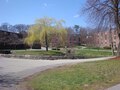 布兰迪斯大学 - Brandeis University photo 1