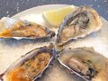 Hog Island Oyster Company 图片 1