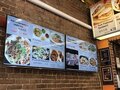 老西安 - Gene's Chinese Flatbread Cáfe 图片 6