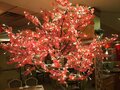 龙凤大酒楼 - China Pearl Restaurant 图片 7
