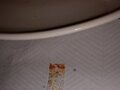 SuSu Sushi photo 2