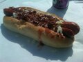 Boston Super Dog photo 2