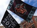 Boston Super Dog photo 3