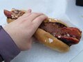 Boston Super Dog photo 1