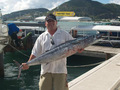 Inter Island Sportsfishing Ltd photo 3