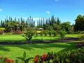 纳尼茂热带花园 - Nani Mau Gardens photo 1