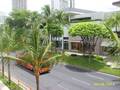 Polynesian Plaza photo 7