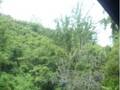 Makiki Heights Drive photo 7