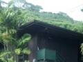 Makiki Heights Drive photo 9