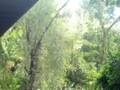 Makiki Heights Drive photo 5