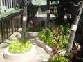 Kuhio Banyan Club photo 1