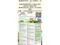 金色旅游 photo 8
