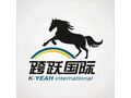 香港ETK清关丶个人行邮清关丶BC清关 - GUANGZHOU KA-YEAH photo 2
