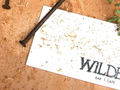 Wilder 图片 2