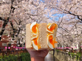 Tokyo Sando photo 3