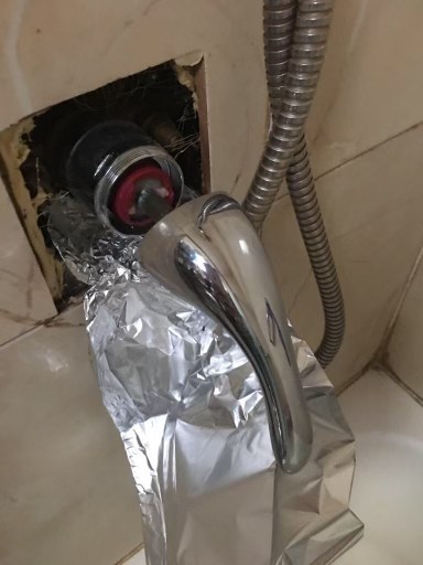 纽约布鲁克林漏水专家 图片 3