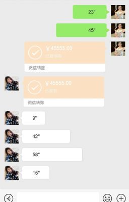 北极星海外華人贷款借貸借钱及国際外币自由兌換换汇 photo 2