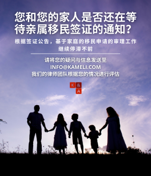 芝加哥Kameli律师事务所帮助您的亲属移民等待不再漫长 芝加哥律师-法务 图片 2