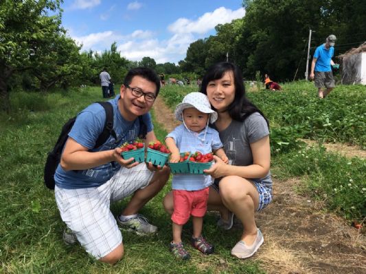 诚聘parttime家政阿姨 Coolidge Corner, Brookline 波士顿保姆-管家-月嫂-保洁 photo 3