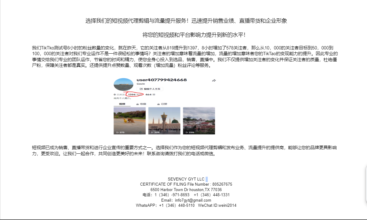 短视频代理剪辑与推广服务 休斯顿AI-网络-电脑-安防 photo 3