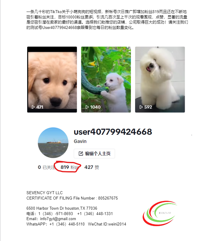短视频代理剪辑与推广服务 休斯顿AI-网络-电脑-安防 photo 2