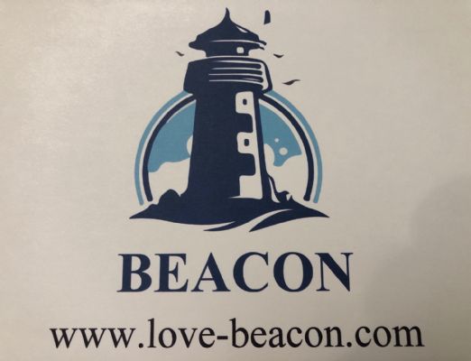 费城网站设计开发 灯塔信鸽 Love Beacon LLC 图片 6