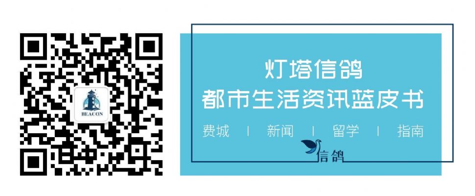 费城网站设计开发 灯塔信鸽 Love Beacon LLC 图片 5