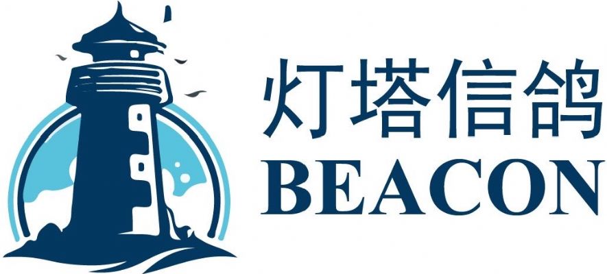 费城网站设计开发 灯塔信鸽 Love Beacon LLC 图片 4