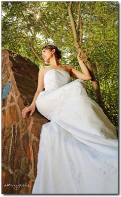 Henry Photo 休斯敦 婚纱 婚礼 摄影 Houston TX 德州地区婚纱摄影 photo 1