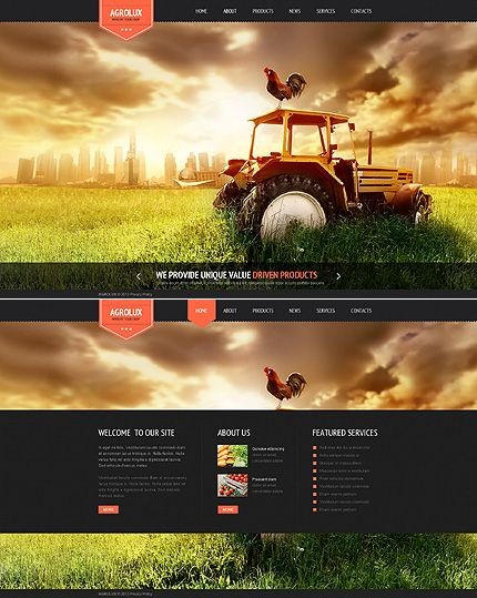 北美农场有机farm农产品批发网站建站开发518-956-5673 NJ photo 2
