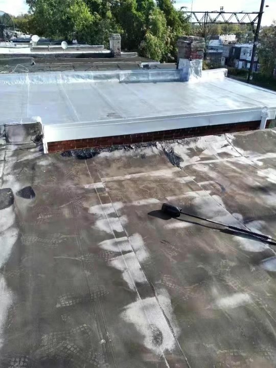 庭院改造,外墙防水,外墙粉刷,水泥车道,内外翻新,专业装修公司免费估价 图片 3